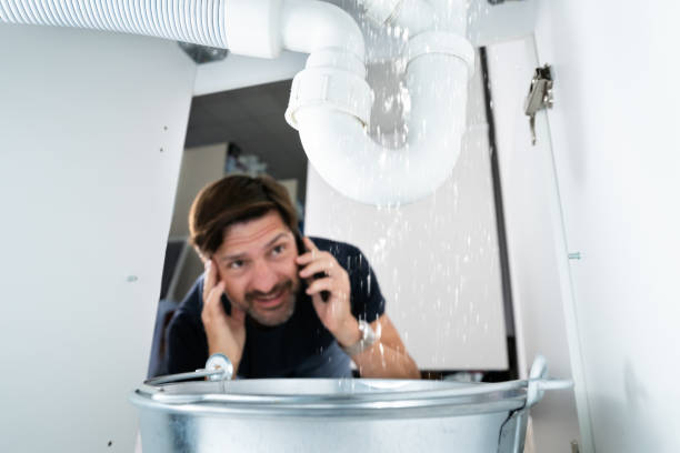Best Clogged Drain Plumber  in Roselle, NJ